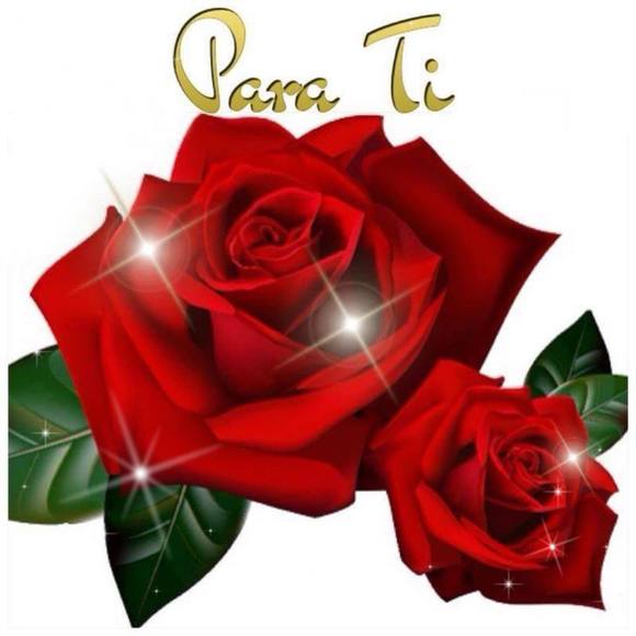 Meet your Posher, Lina - Picture 1 of 1